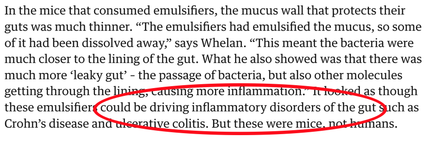 Screenshot 2025-10-28 at 23.52.22