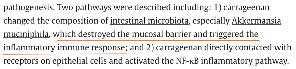 Screenshot 2026-01-03 at 13.38.40