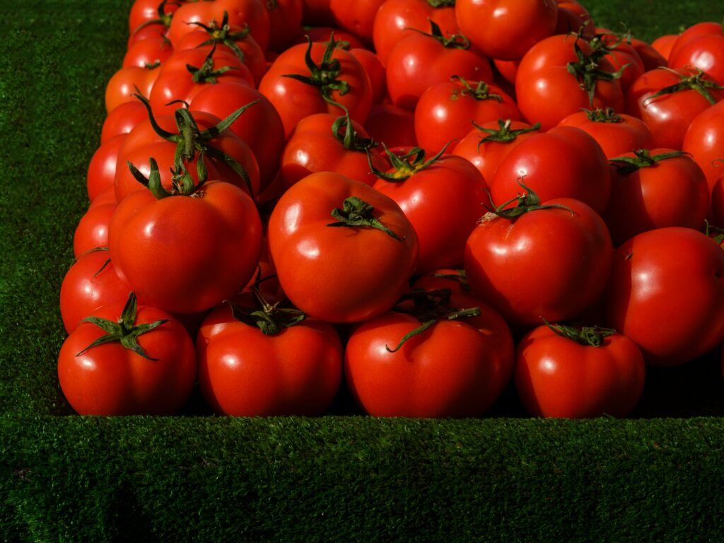 A vibrant pile of fresh red tomatoes displayed on a lush green turf in natural light.